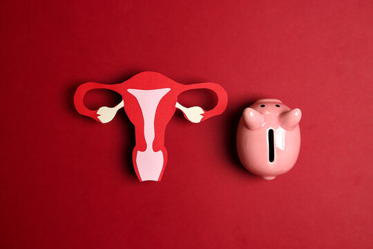 Uterus symbol with piggy bank on red background. Investing in women's health care.