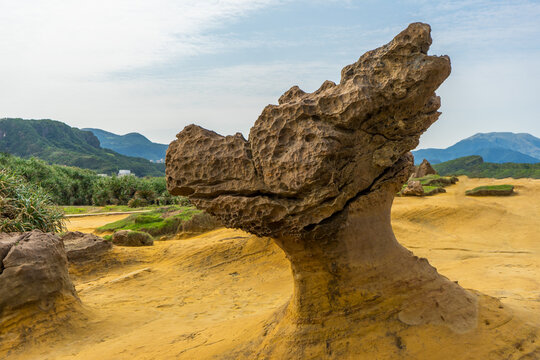Rocks that are eroded by nature present the shape of the Dragon's Head Rock at Yehliu Geopark, New taipei city, Taiwan