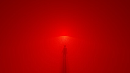 silhouette at the grassfield in the night