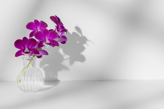 Sprig of purple orchid in vase on white background, free copy space, horizontal photo. Flower silhouette and barely visible shadow stripes on wall. Orchidaceae, minimalism, interior decoration.
