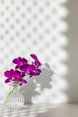 Vertical violet orchid flowers in glass bulb vase with contrast rhombus pattern shadow from window curtain on table and wall on white studio background. Wallpaper, copy space. Home interior decoration