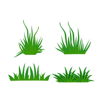 Grass leaves vector icon. Cartoon grass leaf icon vector illustration for any web