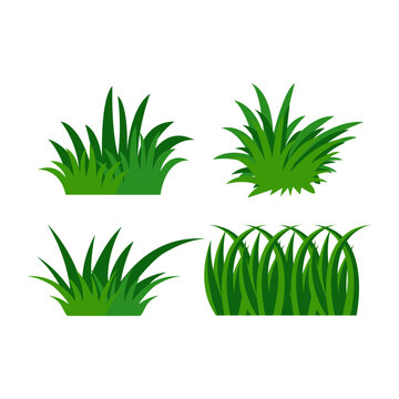 Grass leaves vector icon. Cartoon grass leaf icon vector illustration for any web