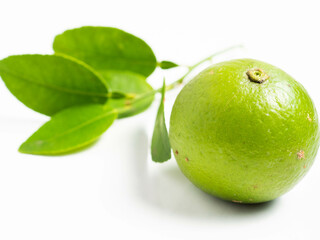 Picture of green citrus with leafs on a white isolated background