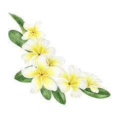 Yellow plumeria flowers. Tropical exotic flowers. Flower frame. Watercolor composition on a white background. For greeting cards, postcard, scrapbooking, packaging design © Fedulova_art