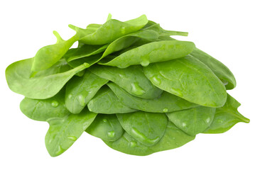 Bunch of spinach isolated on transparent background.