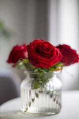 Beautiful red roses in a vase on the background of a home interior