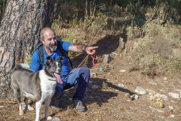 bearded man dressed in blue giving directions to his border collie dog in a forest
