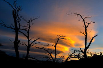 Los Glaciares National Park (El Chalten)