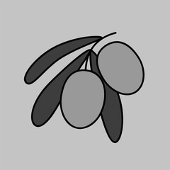 Olive branch, leaves and olives vector icon