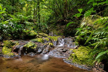 Couleuvre river panorama in the tropical rain forest of Martinique island (France) in the Caribbean...