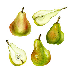 Collection of hand drawn watercolor yellow pears isolated on white background