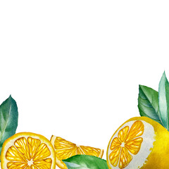 Lemon. Botanical watercolor isolated illustration.