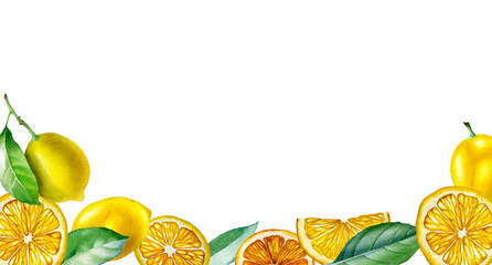 Lemon. Botanical watercolor isolated illustration.
