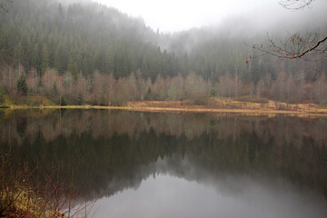 See in einem nebligen Wald