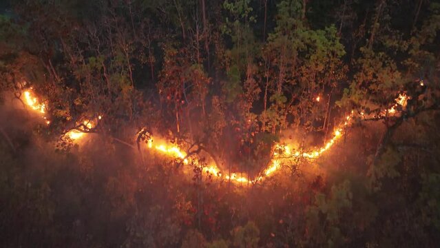 Climate change, Wildfires release carbon dioxide (CO2) emissions and other greenhouse gases (GHG) that contribute to climate change and global warming.