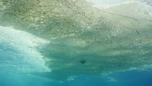 Thick oily layer mixed with plastic debris floating on surface of the Ocean, Underwater shot. Waste polluting oceans drift on surface of theblue water. Pollution of Ocean, Slow motion, Close-up