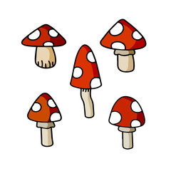 Poisonous mushroom. Fly agaric with red cap. Outline cartoon illustration