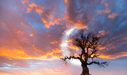 Fototapeta na wymiar Lone strange tree with crescent moon at amazing sunset