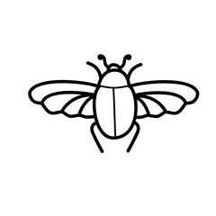 insect icon