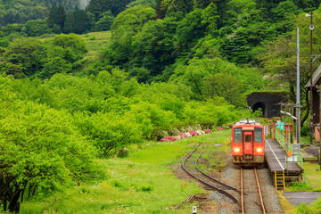 Obraz premium 勝原花桃の里に停車する越美北線のオレンジ色の単行気動車