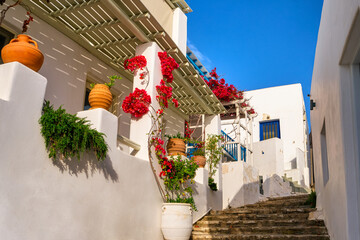 Whitewashed houses and streets, flower pots and bougainvillea of Greek