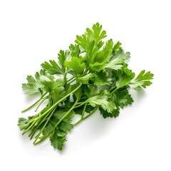 Bunch of a fresh raw organic parsley ingredient for cooking with white background Generative AI Illustration