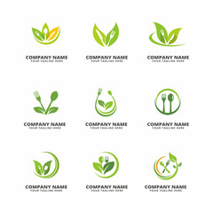 set of helthly food vector icon