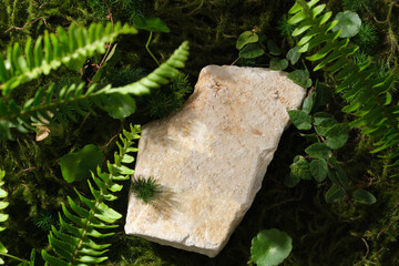 An empty beige stone podium on forest background with fern, centella and green leaves. Scene for...