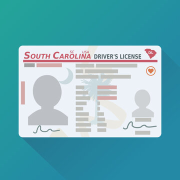 South Carolina driver's license (flat design)