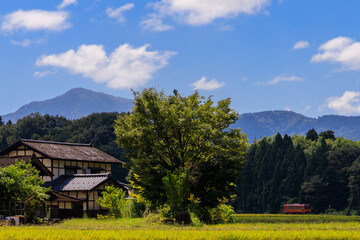大きな樹と趣のある家そして越美北線のオレンジ色の単行気動車
