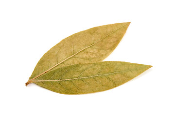 Bay leaves, isolated on white background.