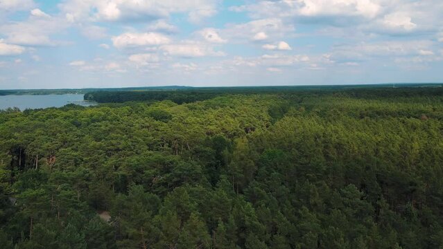 Aerial landscape of forest by Muggelsee in East Treptow Berlin Germany
