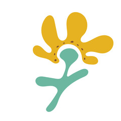 Organic Abstract Shape