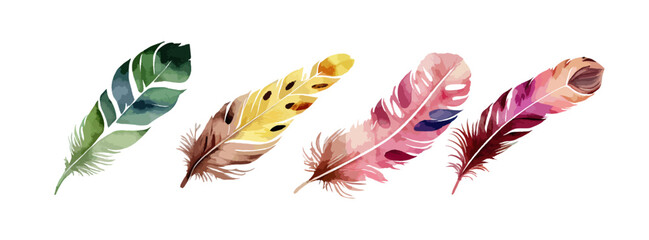 Colorful bird feather watercolor set isolated on white background. Vintage boho decorative elements vector illustration