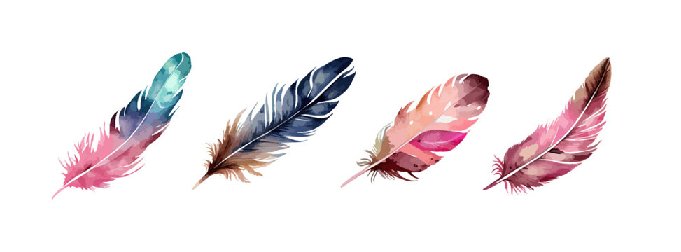 Colorful bird feather watercolor set isolated on white background. Vintage boho decorative elements vector illustration