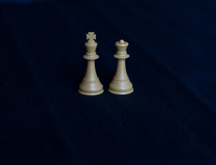 chess pieces on the board