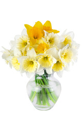A bouquet of daffodils in a vase isolated on a transparent background.