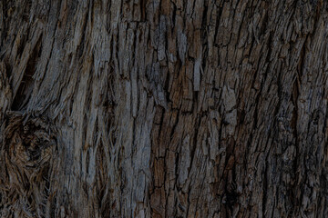 old wood background