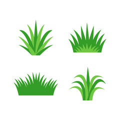 Fresh grass of various shapes set. Isolated element for design.