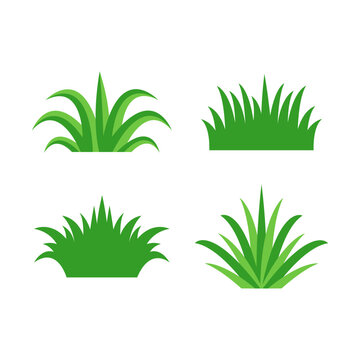 Fresh grass of various shapes set. Isolated element for design.