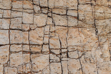 natural rock background ideal for copy space