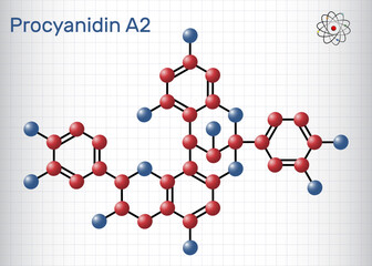 Procyanidin A2, proanthocyanidin A2 molecule. Natural product, used in urinary tract infection prevention. Structural chemical formula, molecule model. Sheet of paper in a cage