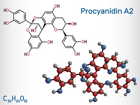 Procyanidin A2, proanthocyanidin A2 molecule. It is natural product, used in urinary tract infection prevention. Structural chemical formula, molecule model. Vector illustration