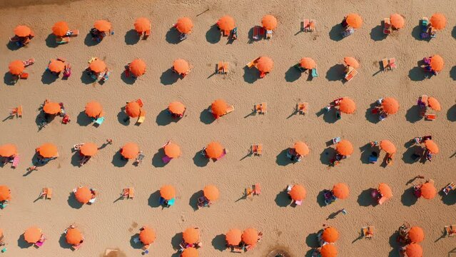 Orange umbrellas and deck chairs installed on crowded beach on hot summer day. Tourists enjoy vacation at Adriatic sea near Venice aerial view
