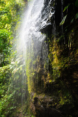 Cascade of Couleuvre river in tropical rain forest in Martinique (France) near Le Prêcheur and Mount Pelée. Highest waterfall of the island with splashing water and lush vegetation backlit by sunlight