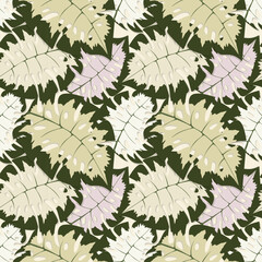 Pattern Monstera leaves. Vector illustration