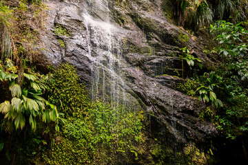Cascade of Couleuvre river in tropical rain forest in Martinique (France) near Le Prêcheur and...