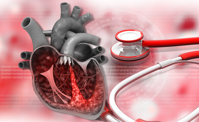 Human heart anatomy with stethoscope background. 3d illustration.
