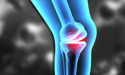 Human knee anatomy knee pain. 3d illustration..